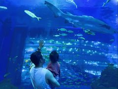 -成都浩海立方海洋公园