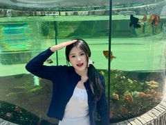 -上海动物园(地铁站)