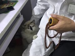 -乐宠动物医院