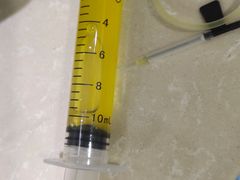 -喵百万·布偶·蓝金金渐层英短·猫舍(百子湾店)