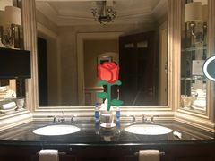 -广州富力丽思卡尔顿酒店