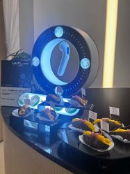 -Fundi张玉珊修身堂·indiba·BTL科技瘦身