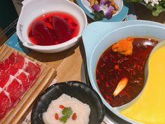 -青瓷火锅料理(西单大悦城店)