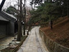 -颐和园