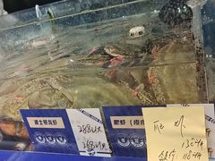 -蓝珊瑚蒸汽海鲜餐厅(龙奥店)