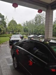 -蚂蚁婚车