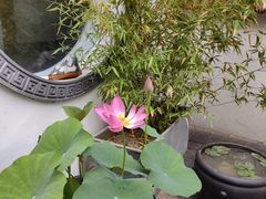 -潇湘·永州会馆(百子湾店)