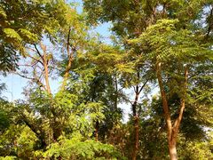 -盘龙城国家考古遗址公园