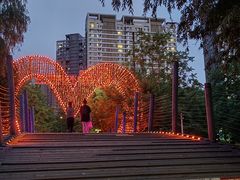 -长白岛森林公园