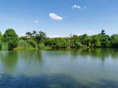 -西溪国家湿地公园