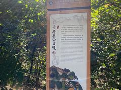 -北京鹫峰国家森林公园