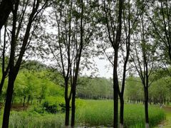 -东郊湿地公园