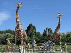 -北京野生动物园