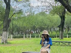 -秀丽东方