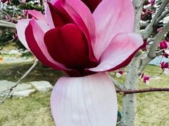 -永定河休闲森林公园