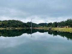 -海南热带雨林国家公园吊罗山景区
