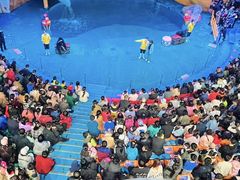 -烟台海昌鲸鲨海洋公园