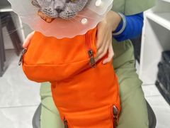 -达爱动物医院·犬猫分区·CT·复杂眼科(远洋山水分院)