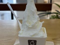 -野人先生Gelato(上海长宁龙之梦店)