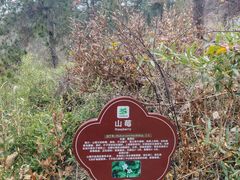 -南京市无想山景区