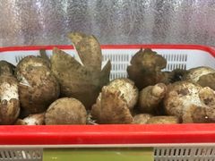 -菌海森林·非遗野生菌火锅(西山区滇池路摩根道店)