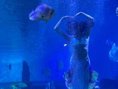 -石林冰雪海洋世界