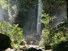 -莫里热带雨林景区