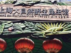 门面-上海大自然野生昆虫馆