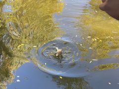 -酷鱼垂钓CLUB(朝阳区博大路店 )