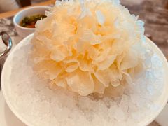 有机活体银耳-大舜国风· 和牛火锅(绮霞街店)