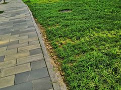 -天幕新彩云国际影城(激光巨幕店)