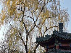 -中国农业博物馆