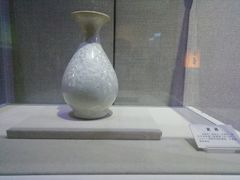 -陕西自然博物馆