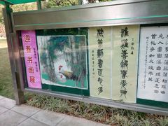 -晓港公园