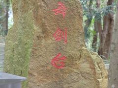 -上海佘山国家森林公园天马山园