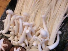 -同仁四季椰子鸡(宝安壹方城店)
