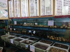 -明记海鲜美食老字号(明记总店)