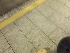 -云溪植物园