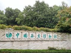 -中国茶叶博物馆(双峰馆区)