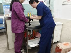 -暖阳宠物医院·犬猫康复中心·骨科