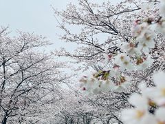 -上海辰山植物园