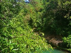 -广州白江湖森林公园