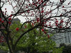 -四川大学(华西校区)