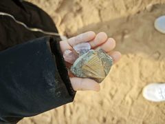 -房山世界地质公园博物馆