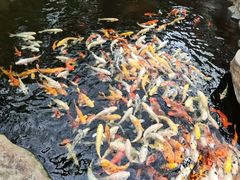 -龙达温泉生态城