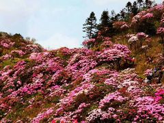 -井冈山风景名胜区