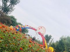 -泗洪洪泽湖湿地景区