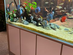 -黄鱼炙夜(华家池店)