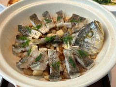 -人间采蜜(海信广场店)