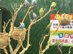 -荆州中山公园动物园